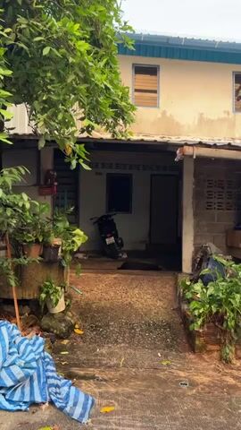 A motorcycle is parked in front of a doorway. A dark-colored dog is lying down in front of the doorway. There are plants in pots to the left and right of the doorway. A blue and white tarp is in the foreground to the left. A two-story building is visible behind the doorway. The sky is overcast.