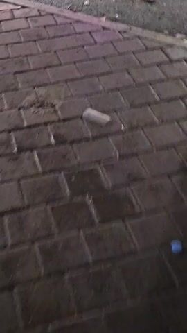 The video begins with a close-up of brick ground with trash littered on it. The view transitions to a street with litter on it, where a person walks past. Then the video turns to black for a few seconds, before showing an outdoor scene at night with lights and some plants. The ground looks wet, implying it may be raining or recently rained.