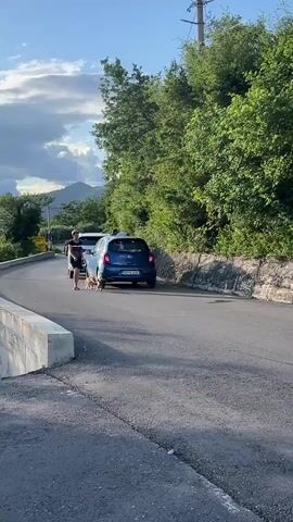 The video captures a daytime scene on a narrow paved road, likely in a rural or semi-rural area given the surrounding dense green foliage. The time of day is bright, indicating clear weather.

Initially, a light blue/teal car, resembling a Citroën C3 Aircross, is visible on the right side of the road, facing away from the camera. It has white graphics or text on its side panel, possibly indicating a rental service, with the letters "EV-Rent" or similar partially discernible. A dark-colored car is partially visible on the left side of the frame.

As the camera pans to the left, two cars come into full view, appearing to be stopped or moving very slowly on the road. On the left is a black hatchback, possibly a Volkswagen Golf, facing away from the camera. On the right, facing towards the camera, is a silver or grey SUV, identifiable as a Hyundai Tucson due to its distinctive front grille and headlight design. The cars are positioned as if navigating a constricted section of the road or possibly in a minor standoff, waiting for one another to proceed. No people are visibly present in the video. The backdrop throughout consists of lush green trees and undergrowth, characteristic of a mountainous or hilly landscape, consistent with the Pelinovo, Montenegro location.