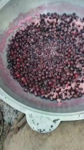 The video shows a close-up view of dark purple berries being cooked in a large, gray, metal pot over an open fire. The berries are plump and appear to be boiling, with some pink foam forming on the surface. The pot is resting on a rough, uneven surface that appears to be dirt or stone, with some gray embers visible beneath it. The camera slowly zooms in on the berries, highlighting their texture and the bubbling liquid. The overall impression is one of a rustic, outdoor cooking process.