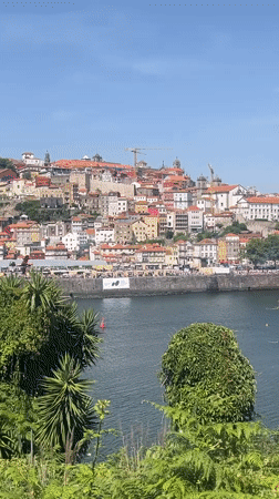 Porto's riverside skyline on a bright summer afternoon