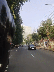 Motorcyclist rides through green tree-lined city street early morning
