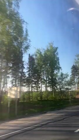 The video shows a view from a moving vehicle, likely a car, driving on an asphalt road on a sunny day. The sky is a clear blue. On the right side of the road, a mix of birch and evergreen trees line the edge of the road. A silver car briefly passes in the opposite direction.  A grassy area is visible between the road and the trees. There is a white dividing line on the road. The camera is inside the vehicle.