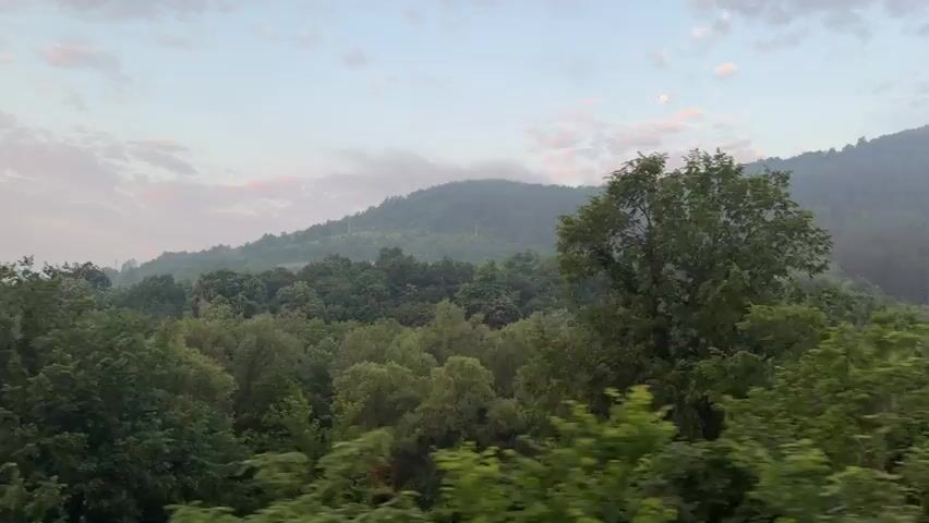 The video captures a scenic view of a forested landscape, likely from a moving vehicle, possibly in the Bilka region of Bulgaria. Lush green trees dominate the foreground, appearing somewhat blurred due to the camera's motion. Beyond the immediate trees, rolling hills and mountains, densely covered in trees, stretch into the distance. A soft mist or haze partially obscures the more distant hills, giving the scene an atmospheric quality. The sky above is a light blue with scattered, soft clouds that show hints of pink or orange, suggesting either early morning dawn or late evening dusk. Briefly, a vertical pole passes on the right side of the frame, reinforcing the sense of movement. There are no people or discernible text visible in the video.