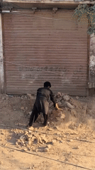 Daily street life documented across Multan neighborhoods
