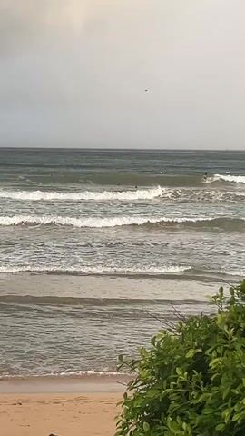 This media file depicts a serene ocean scene in Peleana, Sri Lanka. The image showcases a beach with sand in the foreground, bordered by lush green foliage on the right. Beyond the beach lies the ocean, characterized by gentle waves rolling towards the shore. Several surfers are visible on the water, engaging in the activity of surfing. The sky appears overcast, suggesting a cloudy or potentially rainy day, and the time of day is likely late afternoon or early evening, given the muted light. The overall mood is peaceful and tranquil, capturing the natural beauty of the coastal environment and the leisurely pursuit of surfing. There is no visible text in the media file.