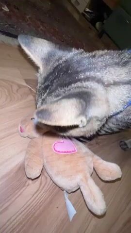 A tabby cat is shown from above, its head lowered towards a small, plush toy bunny that lies on a wooden floor. The bunny is light brown with a pink heart sewn onto its chest and has closed eyes with eyelashes. The cat is gently sniffing or nuzzling the bunny's head. The background shows a portion of a patterned rug and what appears to be furniture. The lighting suggests an indoor setting.