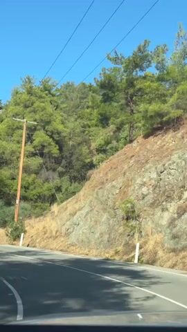 The video shows a first-person perspective of a person driving on a paved road. The road is flanked by dry, grassy hillsides and numerous green pine trees. Utility poles with power lines are visible along the roadside. The sky is clear and blue. The lighting suggests it is daytime. The camera is mounted inside a vehicle, as evidenced by the dashboard at the bottom of the frame.