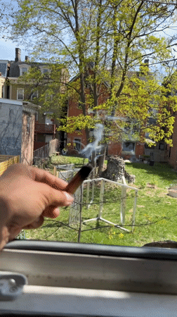 Afternoon scenes documented across Newburgh including motorcycle, coffee shop