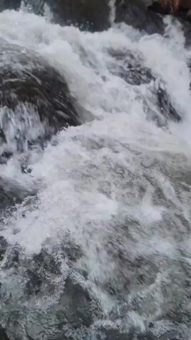 The video shows a rocky river in a natural setting. The water is fast-flowing and white, cascading over and around dark rocks. Vegetation, including trees and smaller plants, lines the banks of the river. The video starts with a close-up of the rushing water and gradually widens to reveal more of the river's surroundings. The sky is overcast, suggesting either early morning or late afternoon.