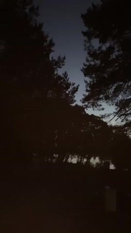 The video shows a dark view of trees silhouetted against a twilight sky. The trees are dense, creating a thick outline against the fading light. The sky ranges from a dark blue at the top to a lighter, grayish hue near the horizon. The scene is still, with no apparent movement other than the faint changes in light as dusk deepens.