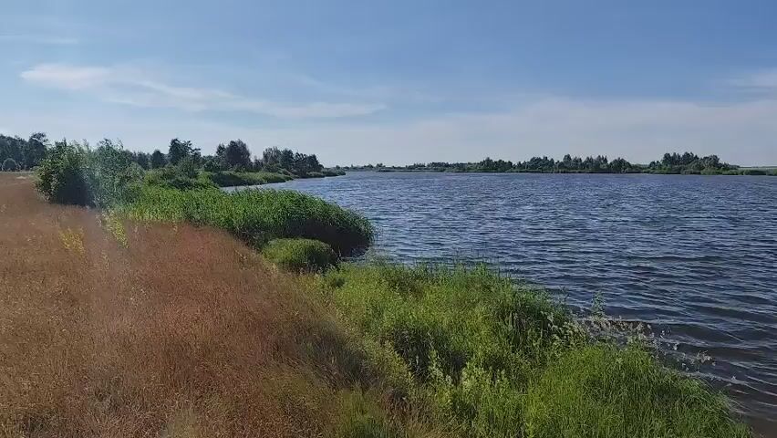 The video captures a serene, panoramic view of a wide river on a clear, sunny day. The water, a deep blue, is gently rippled by a light breeze, reflecting the bright sky. Lush green grass and reeds line the banks, with taller trees forming a verdant backdrop in the distance. The scene suggests a peaceful, natural setting, likely in a rural or semi-rural area.

The camera pans slowly across the landscape, showcasing the expanse of the water and the vibrant greenery. The time of day appears to be midday or early afternoon, given the bright sunlight and clear sky. The weather is fair and pleasant, ideal for outdoor activities.

There are no people visible in the video, nor are there any explicit objects that stand out besides the natural elements. The focus is entirely on the picturesque scenery. The overall mood conveyed is one of tranquility and natural beauty. The location context provided, Ozernoye, Russia, places this serene riverside scene within that geographical area, suggesting a typical Russian landscape with its characteristic rivers and forests.

The video is a silent, unedited recording, with no discernible text or narration. It is a simple, unadorned depiction of a peaceful natural environment.