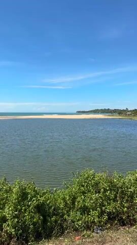 The video shows a body of water, likely a river or estuary, meeting the ocean. In the foreground, there are green bushes. The water in the foreground is a dark blue-green, with small ripples on the surface. Beyond that, there is a sandy beach, and then the ocean, which is a lighter blue. Gentle waves are breaking on the shore. In the distance, there is a treeline along the coast, and the sky is a clear bright blue with a few wispy white clouds. The scene is tranquil and appears to be a sunny day.