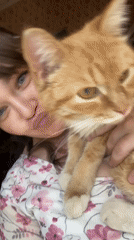 Woman documents morning with cat in Votkinsk Russia