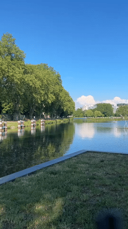 Witness documents peaceful canal scenes across Strasbourg parks and waterways