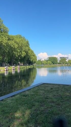 Witness documents peaceful canal scenes across Strasbourg parks and waterways