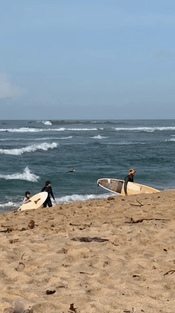 Early morning surfer rides waves at Midigama beach, Sri Lanka