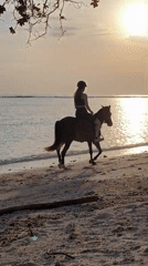 Three horseback riders enjoy morning beach ride in Indonesia
