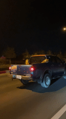 Dogs ride in pickup truck bed during nighttime drive