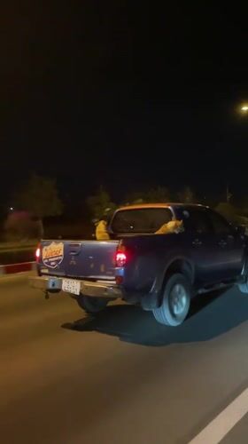 Dogs ride in pickup truck bed during nighttime drive