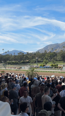 Evening horse activity recorded at Arcadia equestrian facility
