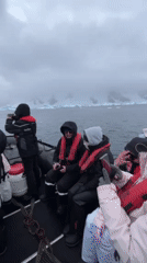 Antarctic boat expedition encounters icebergs and seals in foggy conditions