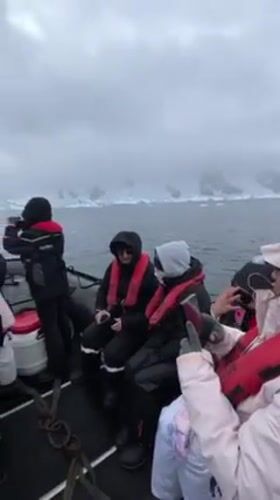 Antarctic boat expedition encounters icebergs and seals in foggy conditions
