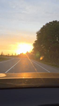 Driver captures sunset view on tree-lined road near Birobidzhan