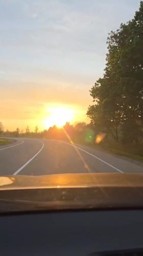 Driver captures sunset view on tree-lined road near Birobidzhan