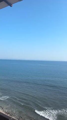 A video captures a panoramic view of the ocean under a clear blue sky. In the distance, a pink lighthouse stands on stilts in the water. Closer to the shore, palm trees sway in the breeze, with their fronds partially obscuring the view. The water is a deep blue, with gentle waves lapping at the shore, where dark rocks and some greenery are visible. The camera pans slowly, revealing more of the tranquil coastal landscape.
