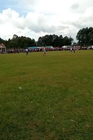 The video depicts a soccer game on a grass field. There are several players on the field wearing different colored jerseys, including blue and orange. A crowd of spectators is visible in the background, along the sidelines. The sky is cloudy, and there are trees surrounding the field. The ball is in the air, and the players are in motion, running and kicking the ball.
