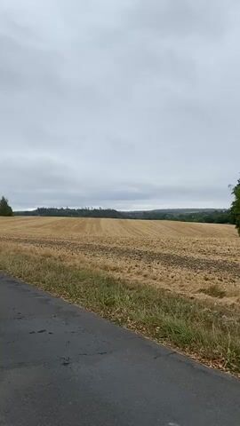 The video shows a view of a harvested field under a cloudy sky. The field is mostly dry and brown, with stubble from a previous crop. There is a road in the foreground, and trees line the horizon. The camera pans slightly to the right, revealing more of the field and the trees. The lighting suggests it is daytime, but the overcast sky creates a muted atmosphere. There are no people or animals visible in the video.