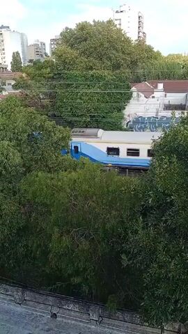 The video depicts a blue and white train passing by, partially obscured by trees and other vegetation. The train is the focal point, moving from left to right across the frame. In the background, there are buildings, including some taller apartment buildings, and a row of houses. The sky is visible above the buildings and trees. The camera appears to be positioned at an elevated viewpoint, possibly from a building or a high vantage point. There are no people visible in the video. The overall impression is a snapshot of urban life, with nature intertwined with the built environment.