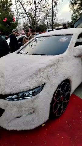 The video shows a car completely covered in what appears to be a white, furry material. Several people are visible around the car, some taking pictures or looking at it. A young child briefly touches the car. A hand in a blue plaid shirt touches the furry surface, indicating the texture. The background shows a park-like setting with trees, other vehicles, and people. The scene has an outdoor setting on what appears to be a clear day. A red carpet is beneath the car.