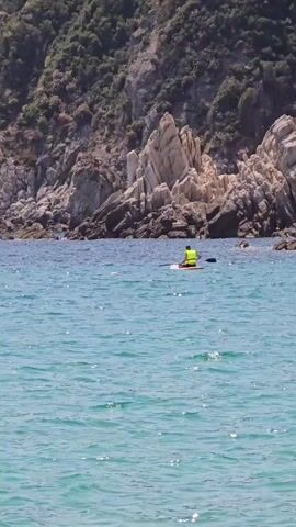 A person wearing a yellow life vest is paddleboarding on the ocean. The water is blue and there are waves. In the background, there is a rocky cliff covered in trees. The paddleboarder is paddling away from the camera.