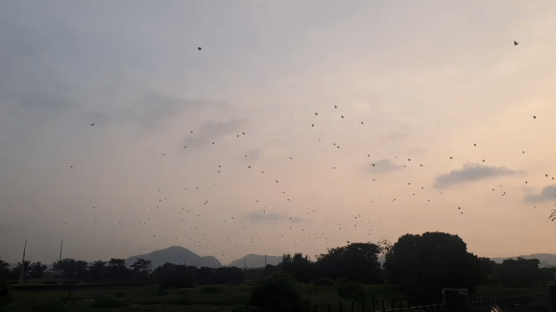 Kalyan-Dombivli, India