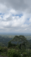 Morning landscape views documented at Baturiti strawberry farm
