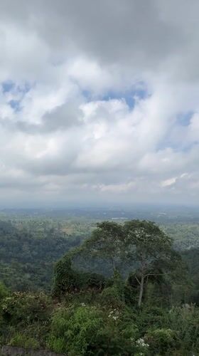 Morning landscape views documented at Baturiti strawberry farm