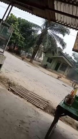 The video pans across an outdoor scene with a dirt road in the center. On the left, there is a glass display case and trees. In the background, a small green house with a palm tree in front is visible. A motorcycle is parked near the house. A man rides a motorcycle down the road from left to right. A green truck then drives down the road from left to right, kicking up dust. On the right side of the foreground, a table with bottles on it is partially visible. The scene appears to be in a rural or semi-rural area.