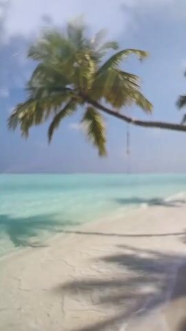 The video shows a tropical beach scene. The beach has white sand and clear turquoise water. A palm tree hangs over the beach, with a rope swing attached to one of its branches. The sky is blue with some scattered clouds. The view is slightly blurry, as if seen through a wet window. The sound of music can be heard.