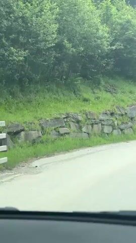This is a video clip from a car driving through a scenic mountain landscape. The video focuses on the road ahead and the natural surroundings.

**Subjects:** The primary subjects are the natural environment and the road. We see a paved road winding through a valley. On the left side of the road, there is a stone retaining wall covered in grass and moss, with lush green trees and bushes growing above it. On the right side of the road, the landscape transitions into rolling green hills dotted with trees, leading up to a steep, densely forested mountain slope. A few buildings, possibly farmhouses, are visible nestled on the hillsides.

**Activity or Event:** The clip captures the experience of driving through a picturesque rural area. The perspective is from inside a vehicle, looking forward, suggesting a journey is in progress.

**Notable Details:**
*   **Time of Day/Weather:** The lighting suggests it is daytime, likely late morning or afternoon. The sky is partly cloudy, with a mix of bright areas and shaded clouds, indicating variable weather, possibly a bit overcast or with passing clouds.
*   **Location Cues:** The dense coniferous forests on the mountainside, the style of buildings, and the overall mountainous terrain are characteristic of alpine regions. The prompt specifies the location as Flachauwinkl, Austria, which aligns with these visual cues.
*   **Emotions:** The overall impression is one of tranquility, natural beauty, and perhaps a sense of peaceful travel.

**Visible Text:** There is no visible text within the video frames.