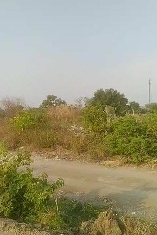 The video shows a rural outdoor scene. A dirt road is visible in the foreground. To the right of the road, there is an area with vegetation and some piles of white sacks. A small black truck is parked in this area, also loaded with white sacks. A person, dressed in blue, is standing next to the truck. In the background, there is a tall cell tower and more trees. The sky is clear and the lighting suggests it is daytime.