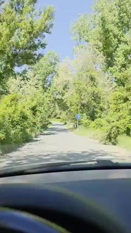 A car drives on a paved road lined with green trees under a blue sky. The car approaches and crosses a small stone bridge with a road sign indicating two-way traffic. The video is shot from the perspective of the driver.