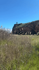 Coastal cliffs and landscapes documented near Balgarevo, Bulgaria