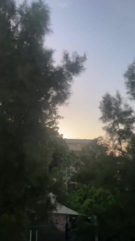 The camera moves, showing a view from a balcony. A large tree is visible in the foreground, with buildings in the background under a sky with sunset colors. The railing of the balcony comes into view as the camera movement stops.