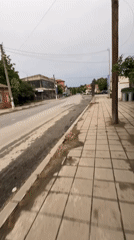 Evening scenes and cat spotted in Lozarevo, Bulgaria