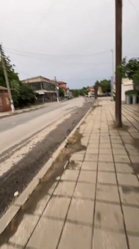 Evening scenes and cat spotted in Lozarevo, Bulgaria