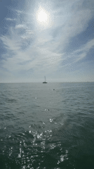 Afternoon fishing and boating activity captured at Sochi pier