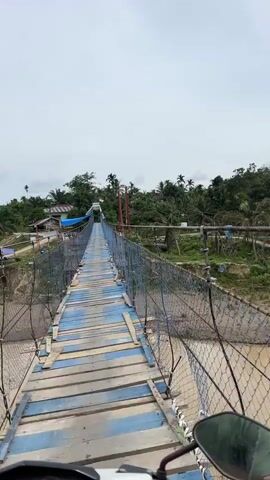A first-person perspective video shows a person riding a motorcycle onto a narrow, dilapidated suspension bridge. The bridge has wooden planks, some painted blue, and is lined with metal netting. The bridge spans a muddy river, and on either side are lush green hills dotted with palm trees and small buildings. The sky is overcast. The motorcycle's front handlebars and a mirror are visible in the foreground.
