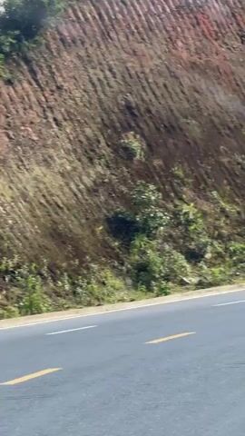 The video shows a road next to a hillside. The road is asphalt with yellow lane markings. The hillside is mostly dirt, with some patches of green vegetation. The hillside has a distinctive terraced pattern, as if it was cut into steps. In the background, the hillside rises further, blending into a forest of green trees. The sky is cloudy. There is a sense of movement as if the video was taken from a moving vehicle. Some raindrops are visible on the windshield of the car.